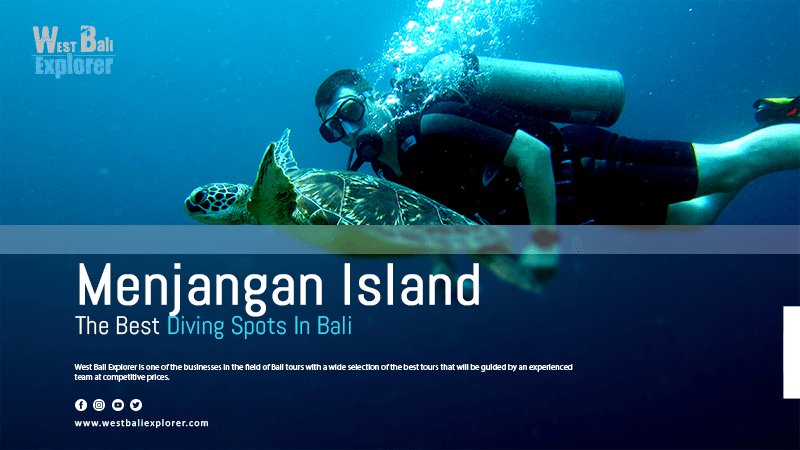 Menjangan Island The Best Diving Spots In Bali